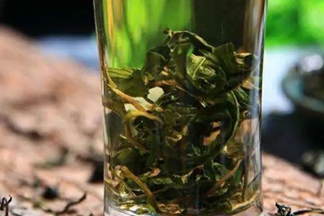 新鲜蒲公英泡水喝