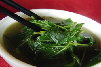 新鲜桑叶煲汤