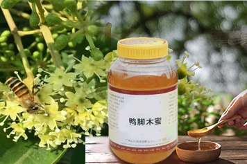 鸭脚蜜