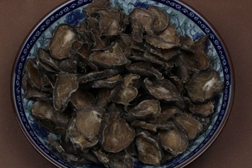 盐附子