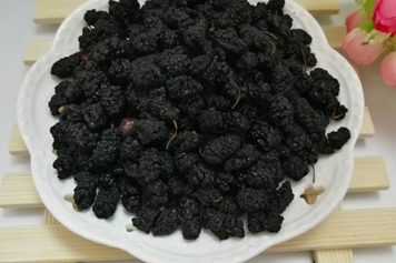 桑椹片