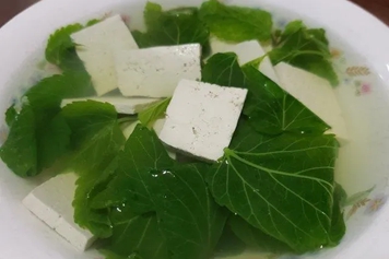 桑叶豆腐汤