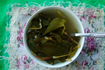 鱼腥草蒲公英煮水