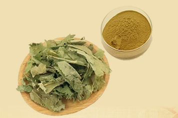 淫羊藿粉