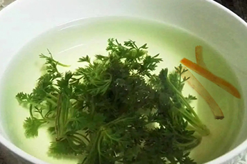 茵陈和陈皮泡水喝