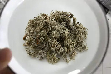 干茵陈泡水喝