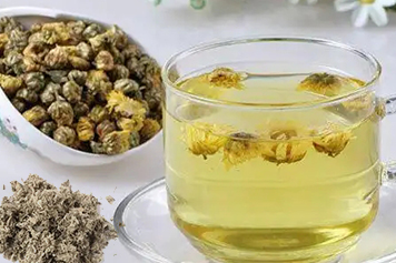 茵陈菊花泡水喝