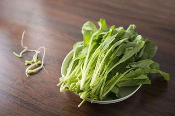 野萝卜缨子