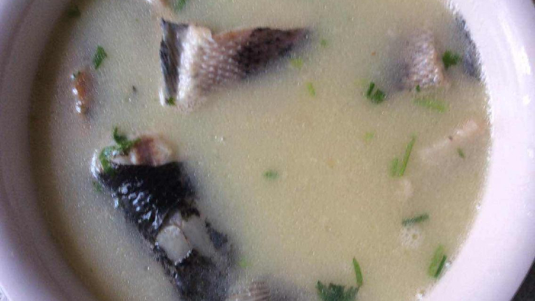黑鱼汤