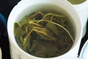 新鲜鱼腥草煮水喝
