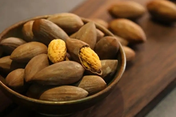 香榧果