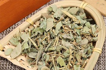 月亮草