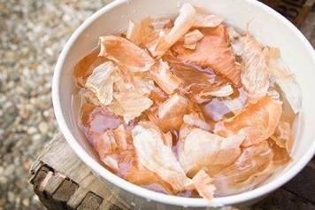 洋葱皮泡水喝