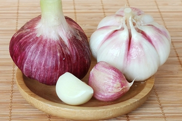新鲜大蒜