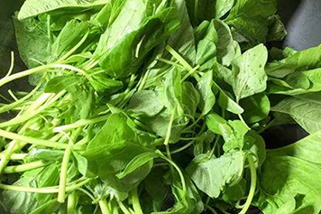 杏仁菜野菜