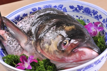 雄鱼头