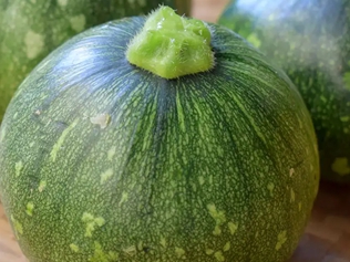 青皮小南瓜
