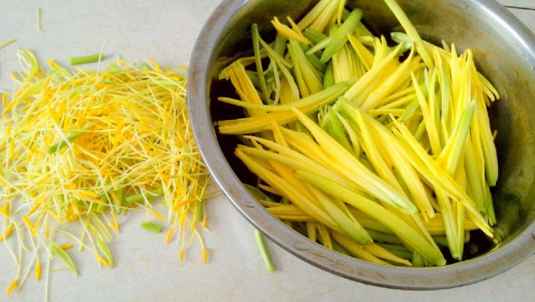 金针菜