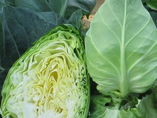 牛角包菜
