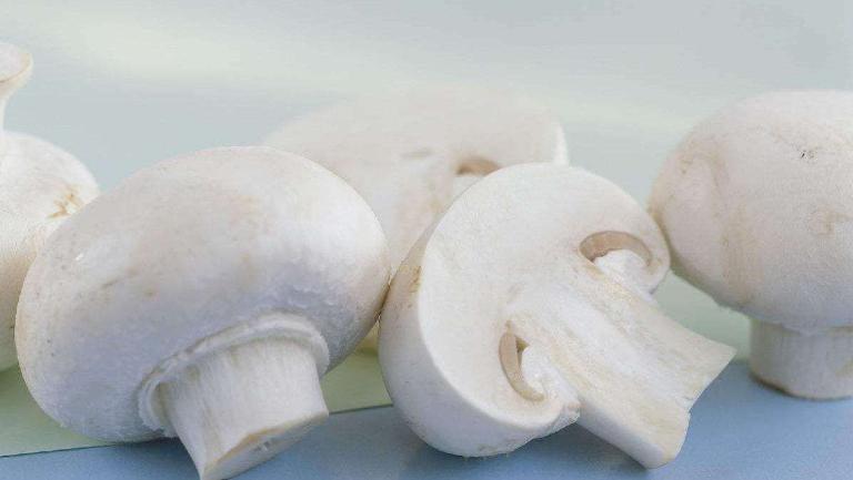 白蘑菇