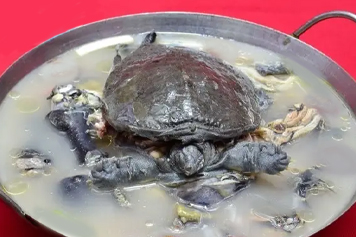 乌鸡炖甲鱼