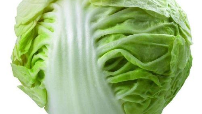 圆白菜
