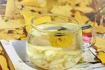 百合菊花茶