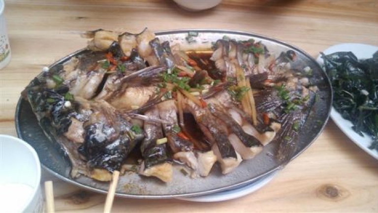 剑骨鱼