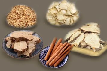 柏子仁白蔹白术桂心附子同用