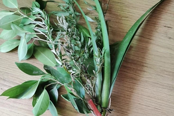 艾叶和菖蒲叶熬水