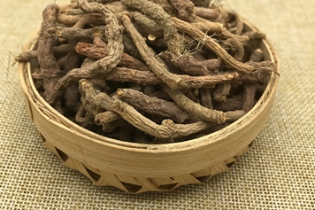竹叶防风