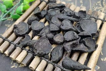 炙黑附子