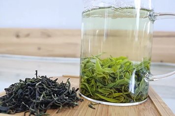 紫阳毛尖茶