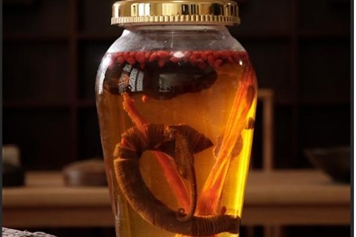 桫椤树干泡酒