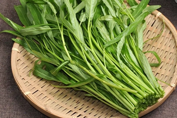 筒菜