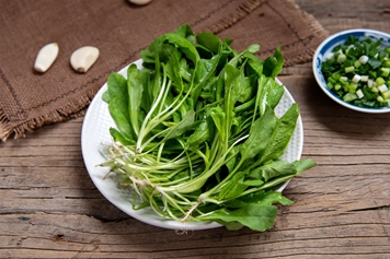 荠菜芽