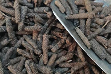 毕茇
