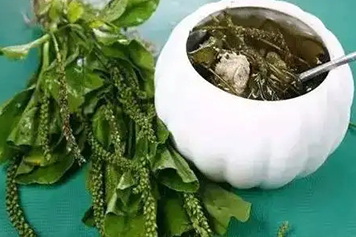 车前草加艾草煮水