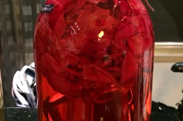 醋泡玫瑰花