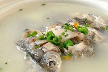 茵陈鲫鱼汤
