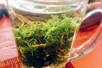 白蒿茶叶