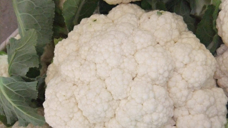 花椰菜