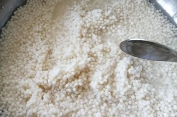 西米和小米一起吃