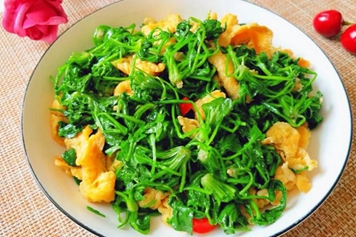荠菜炒鹅蛋