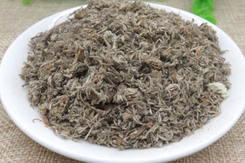 白茵陈