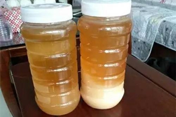 白术蜜