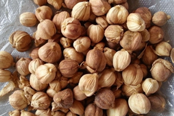 白蔻香料