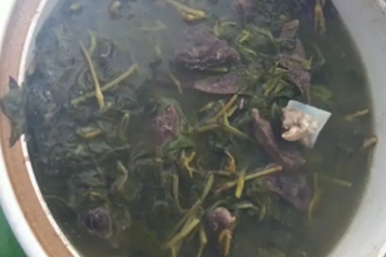 薄荷和鱼腥草一起煮水
