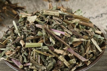薄荷梗