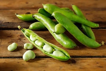蚕豆荚壳